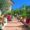 Una scalinata in un giardino con piante e fiori colorati, tra cui bouganville.