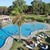 Piscina circondata da sdraio e prati, con una palma al centro.